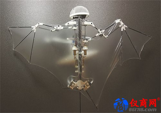 加州理工大學(xué)研制的蝙蝠機(jī)器人