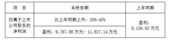 匯中股份2019年度業(yè)績預(yù)告
