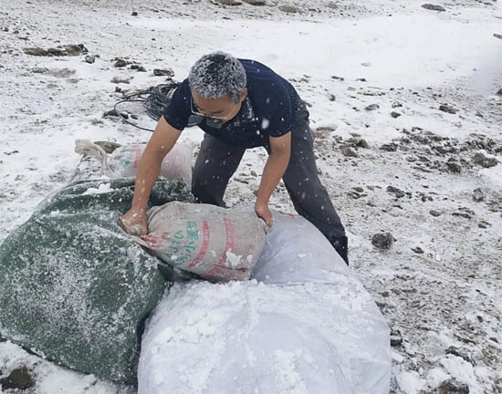 粟多武斗風(fēng)戰(zhàn)雪搶時間搬運澆筑用原材料