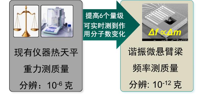 李昕欣：一顆芯片改變了一整類高端科學(xué)儀器的命運